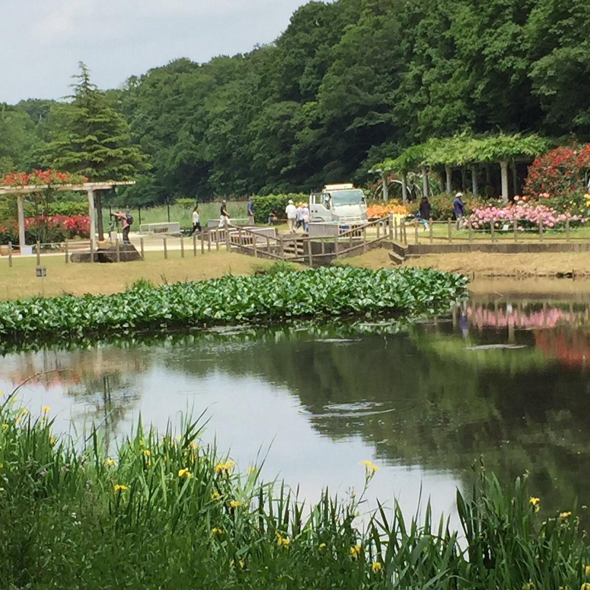 🌳 오마치 공원(오마치 코엔) 이미지 8